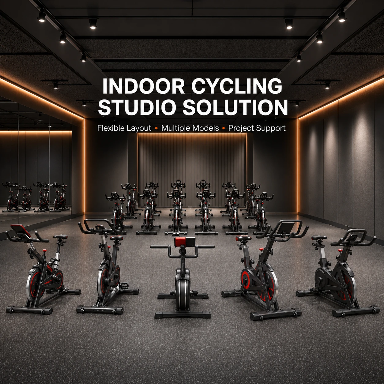 SH-Q1 Indoor Exercise Bike — view 6