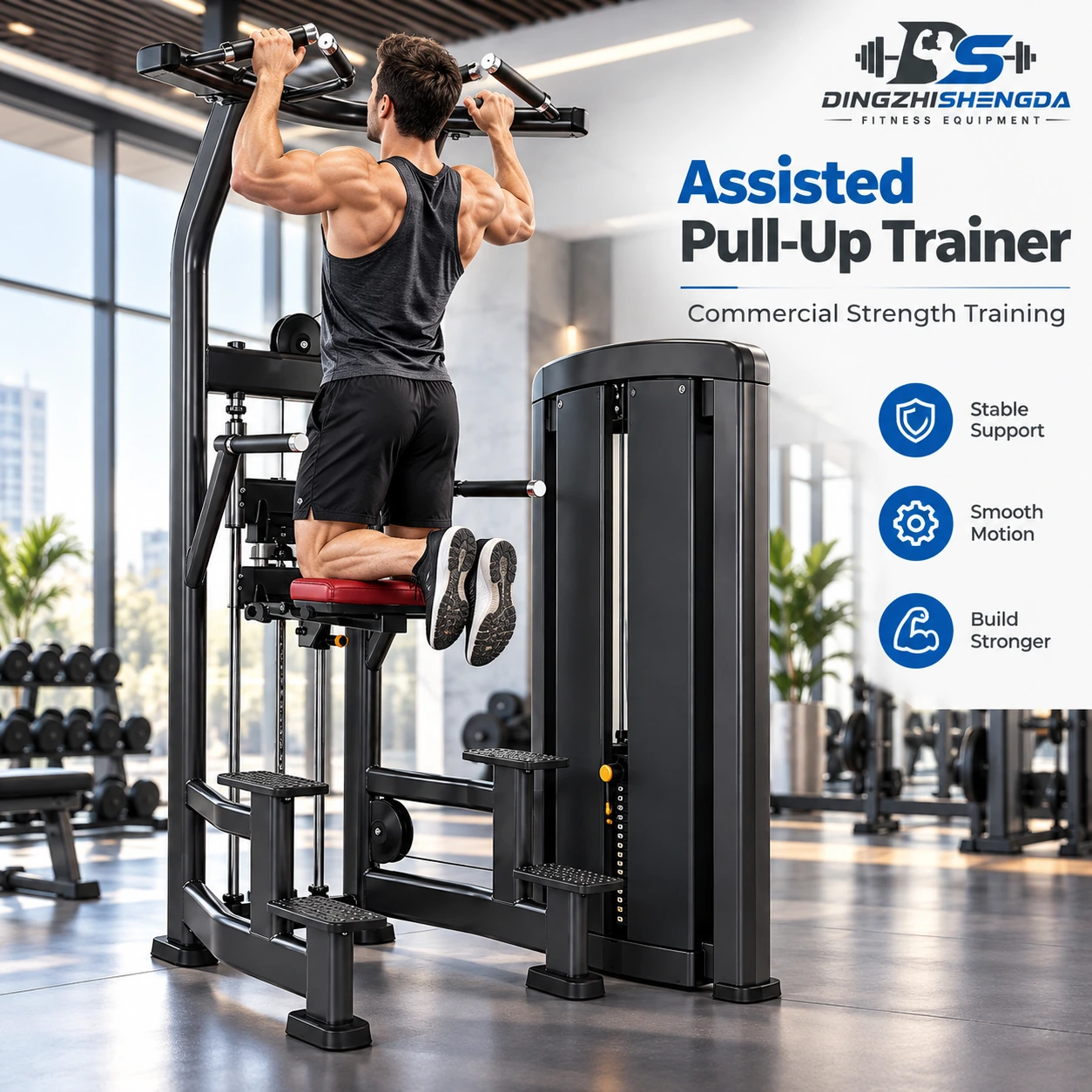 Back & Arms Multi Machine